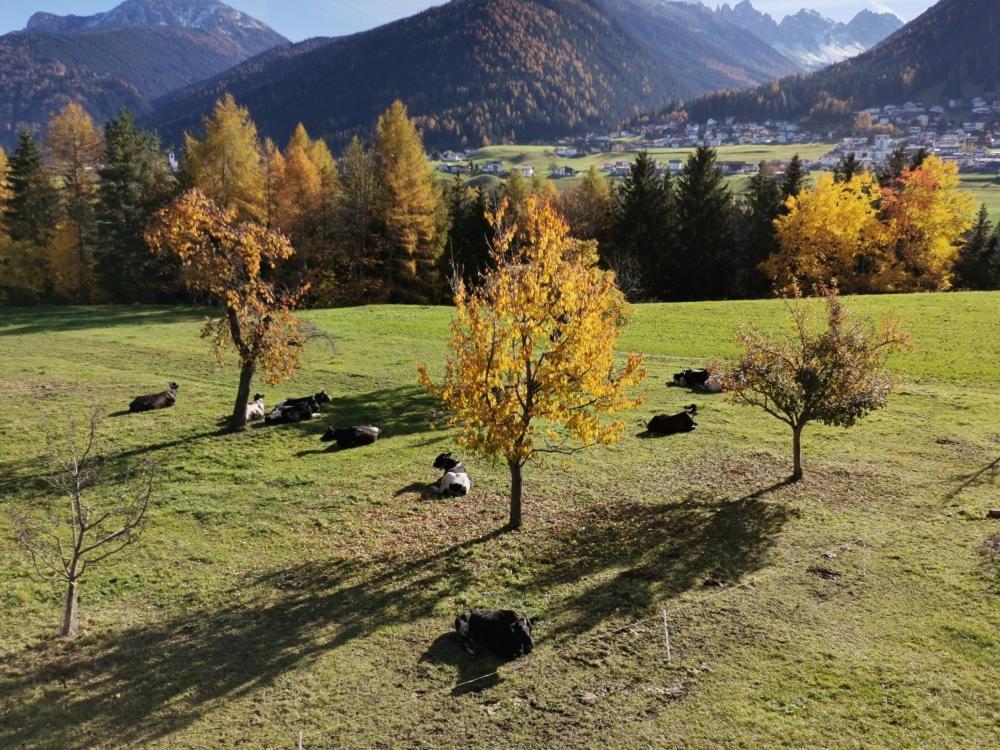 Ferienwohnungen Simon - Hauserhof Oberperfuss Eksteriør bilde